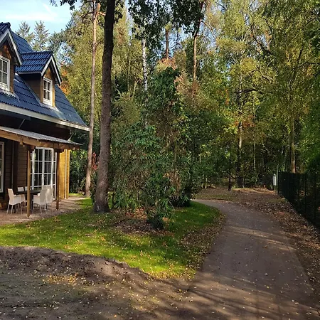 Spacious Near Veluwe Hoenderloo